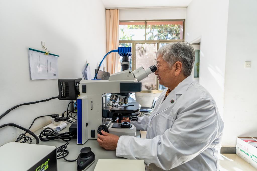 新時(shí)代新征程新偉業(yè)·二十大代表在基層丨朱兆云:以科技創(chuàng )新推動(dòng)民族藥高質(zhì)量發(fā)展