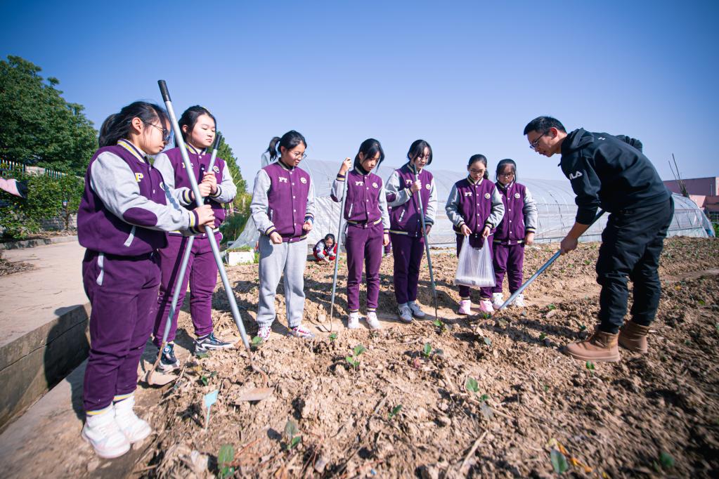 開(kāi)拓校內勞動(dòng)基地 推進(jìn)中小學(xué)勞動(dòng)教育
