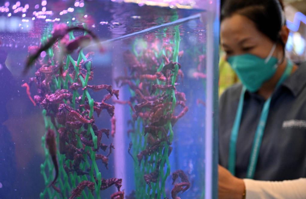 2022年中國(海南)國際熱帶農產(chǎn)品冬季交易會(huì )開(kāi)幕