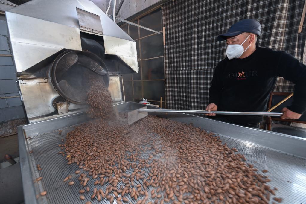 浙江諸暨:香榧堅果進(jìn)入出貨旺季 特色產(chǎn)業(yè)助力百姓增收致富