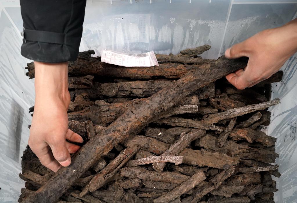 新華全媒+|河南商丘宋國故城遺址發(fā)現大面積千年桑樹(shù)和柏樹(shù)枝