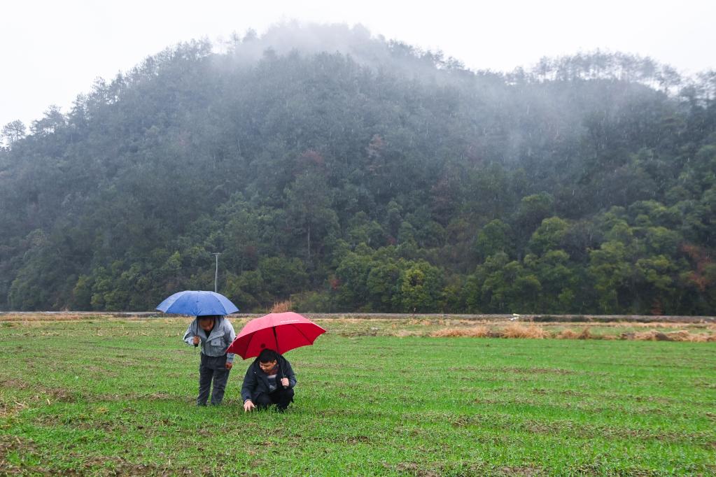 浙江臨安：培育青創(chuàng  )人才 助力鄉村振興