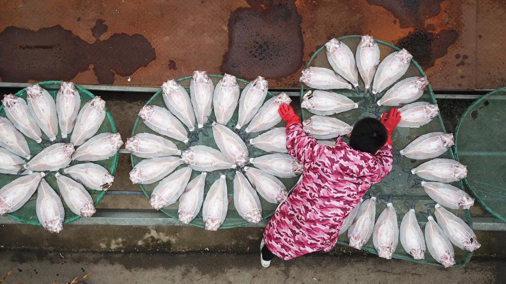 湖南岳陽(yáng)：特色風(fēng)干魚(yú)供應市場(chǎng)