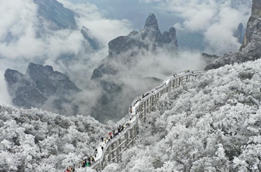 詩(shī)意中國——吹落瓊花滿(mǎn)世間