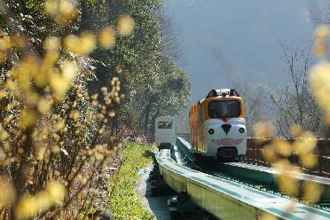 湖南張家界：節后旅游熱度不減