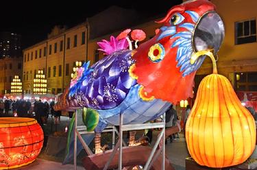 青島:老街里院賞花燈