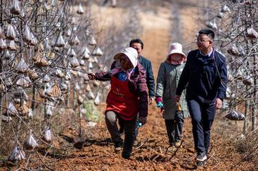 代表委員履職故事｜全國人大代表袁海波：&ldquo;我是農民工，更懂農民工&rdquo;