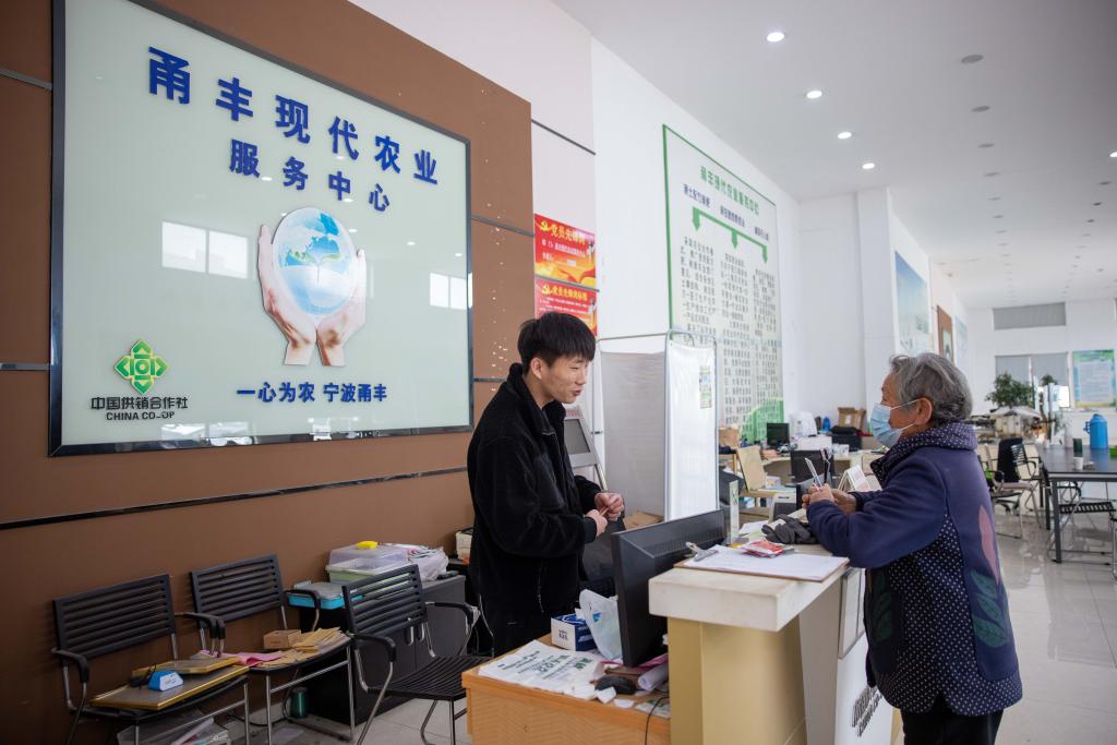 浙江寧波：購買(mǎi)農資備春耕