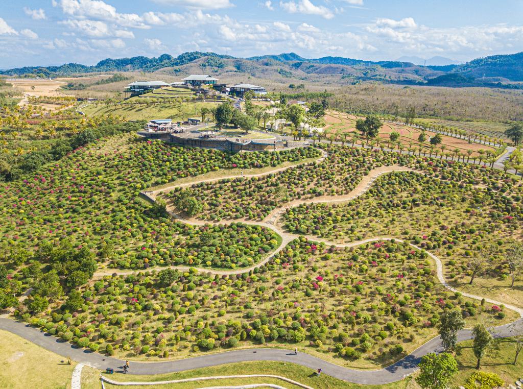 新華全媒+丨熱帶田園綜合體拓寬鄉村振興發(fā)展路