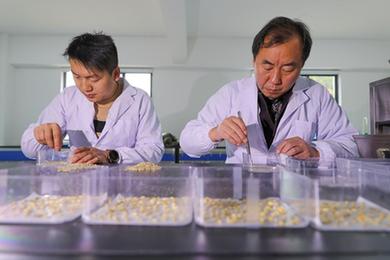 春耕&ldquo;糧草&rdquo;足