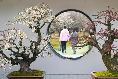 鏡觀(guān)中國·新華社國內新聞?wù)掌恢芫x