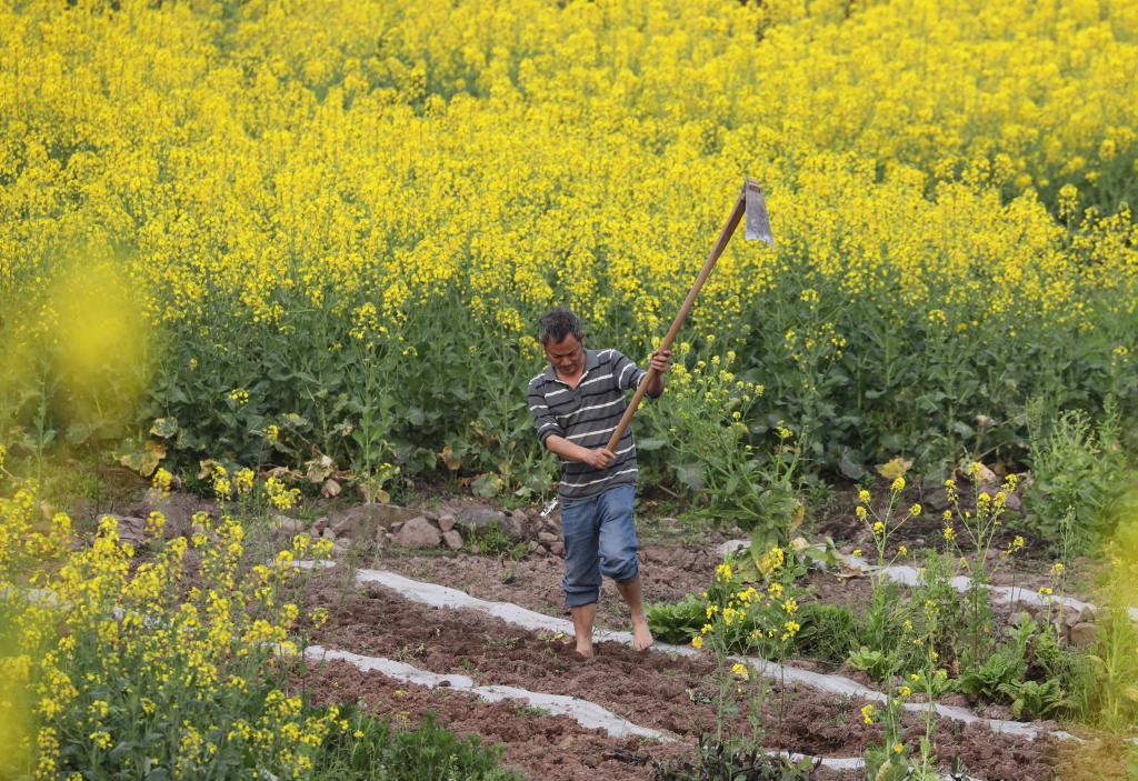 新華全媒+丨勞動(dòng)的旋律 奏響春天的樂(lè )章