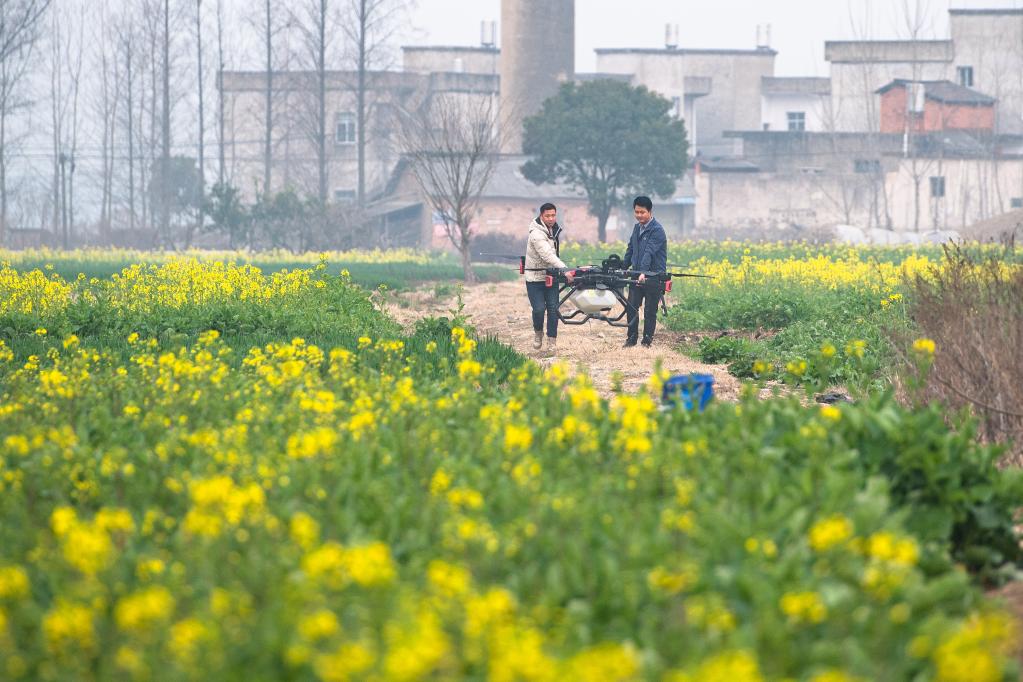 湖北天門(mén):無(wú)人機助力春耕生產(chǎn)