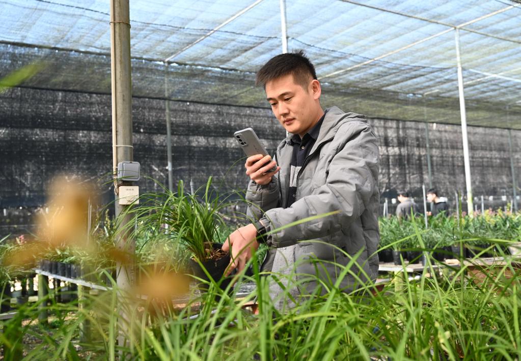 漳州&ldquo;三花&rdquo;香飄海外