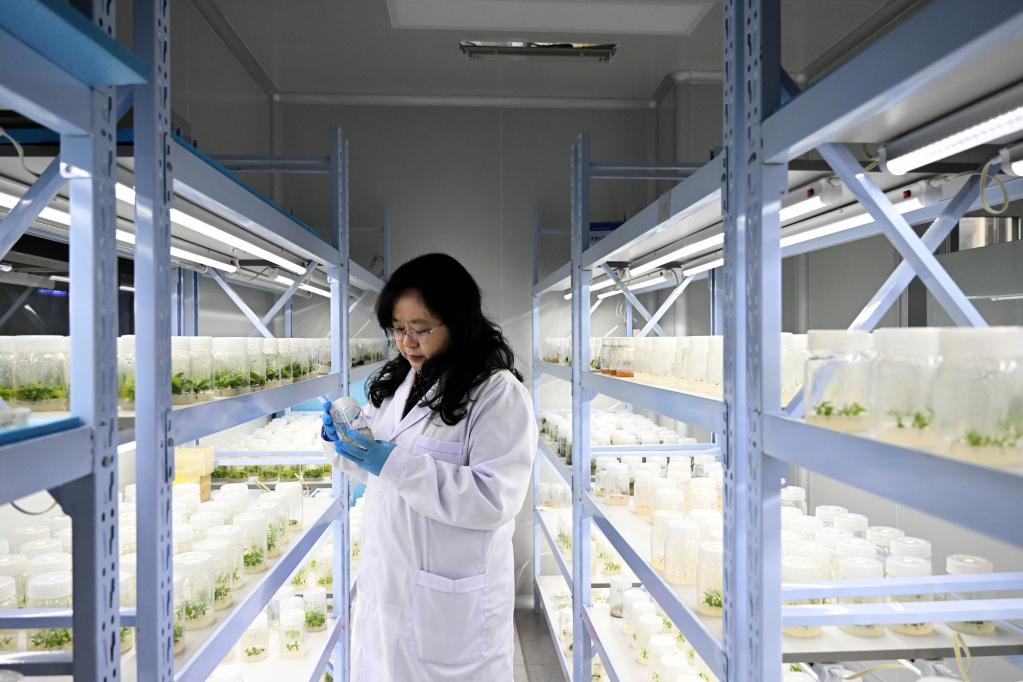 新華全媒+丨科學(xué)島上的創(chuàng  )新&ldquo;她力量&rdquo;