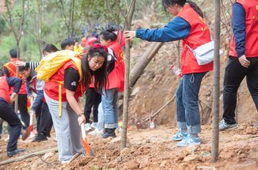 重慶：滅火志愿者為縉云山&ldquo;添綠&rdquo;