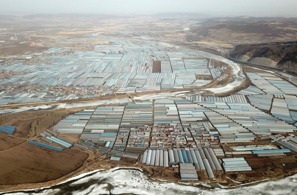 新華全媒+｜黑龍江：棚室經(jīng)濟&ldquo;春意盎然&rdquo;