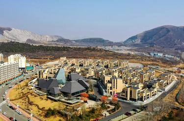 種下一片綠&mdash;&mdash;廢棄礦坑變身&ldquo;生態(tài)課堂&rdquo;