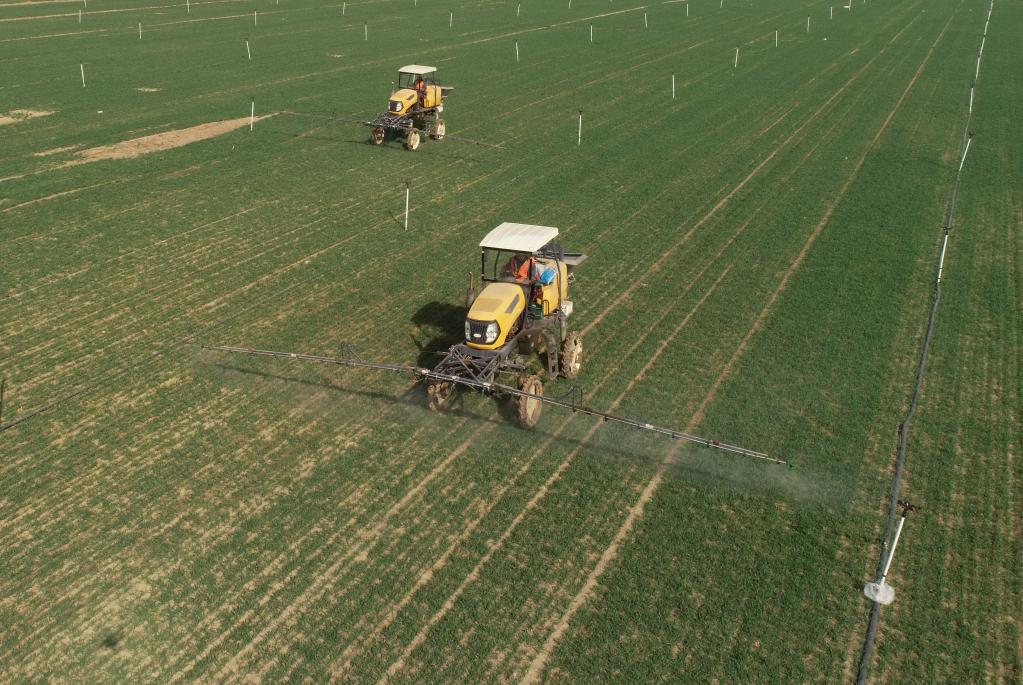 不負農時(shí)不負春 燕趙春耕正當時(shí)