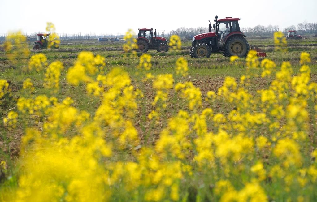 江西：春暖花開(kāi) 耕種正當時(shí)