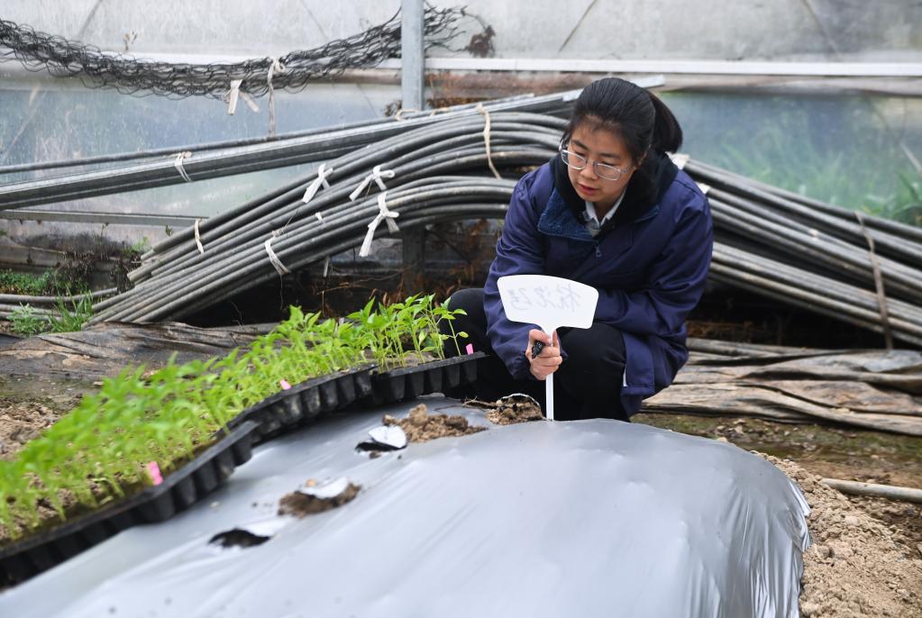 杭州臨安:“新農人”助推鄉村新產(chǎn)業(yè)新業(yè)態(tài)發(fā)展