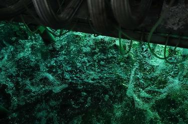 新華全媒+|污水是這樣“變身”的