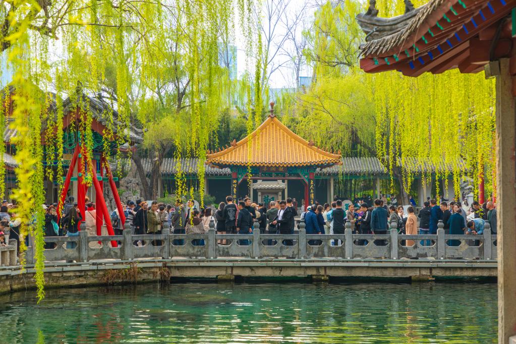 詩(shī)意中國——萬(wàn)條垂下綠絲絳