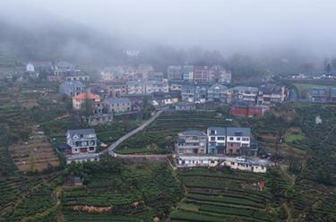 浙江富陽(yáng)：鄉村人才&ldquo;回流引流&rdquo;助推美麗山鄉新業(yè)態(tài)發(fā)展