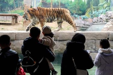 春日尋樂(lè )&ldquo;動(dòng)物王國&rdquo;