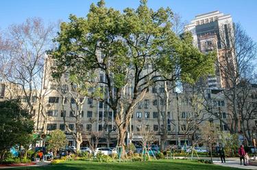 新華全媒+丨60秒！帶你&ldquo;穿越&rdquo;綠色上海