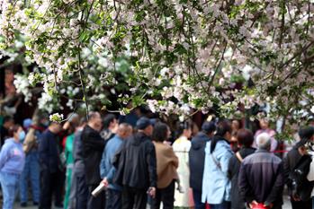 擁抱春天 樂(lè )享春光