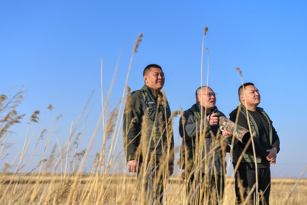 候鳥(niǎo)遷徙 護飛有我