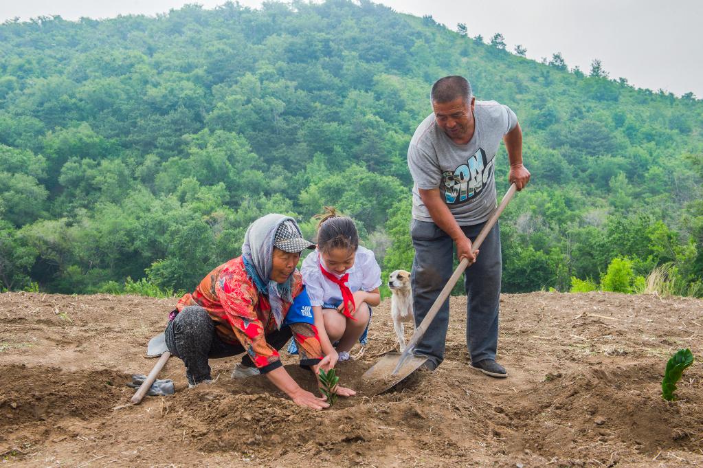 新華全媒+丨夫妻植樹(shù)護林40年，荒山禿嶺變綠洲&ldquo;鷺嶺&rdquo;