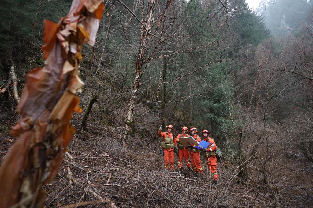 清明巡林，守護茫茫林海