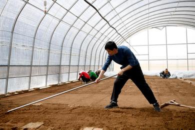 甘肅靜寧：設施農業(yè)繪就鄉村振興風(fēng)景