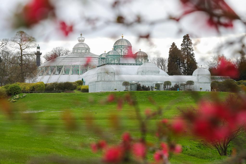比利時(shí):王家溫室花園對公眾開(kāi)放