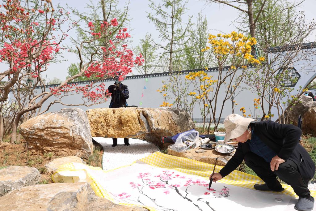 中國·淮安精品盆景展拉開(kāi)帷幕