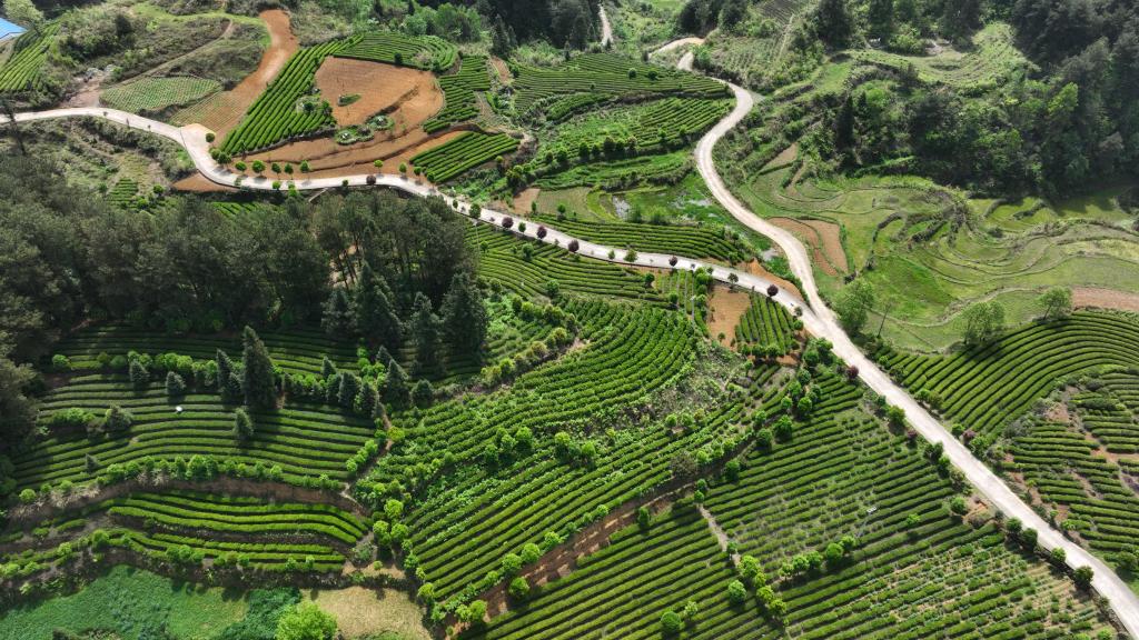 貴州開(kāi)陽(yáng):高原春耕圖