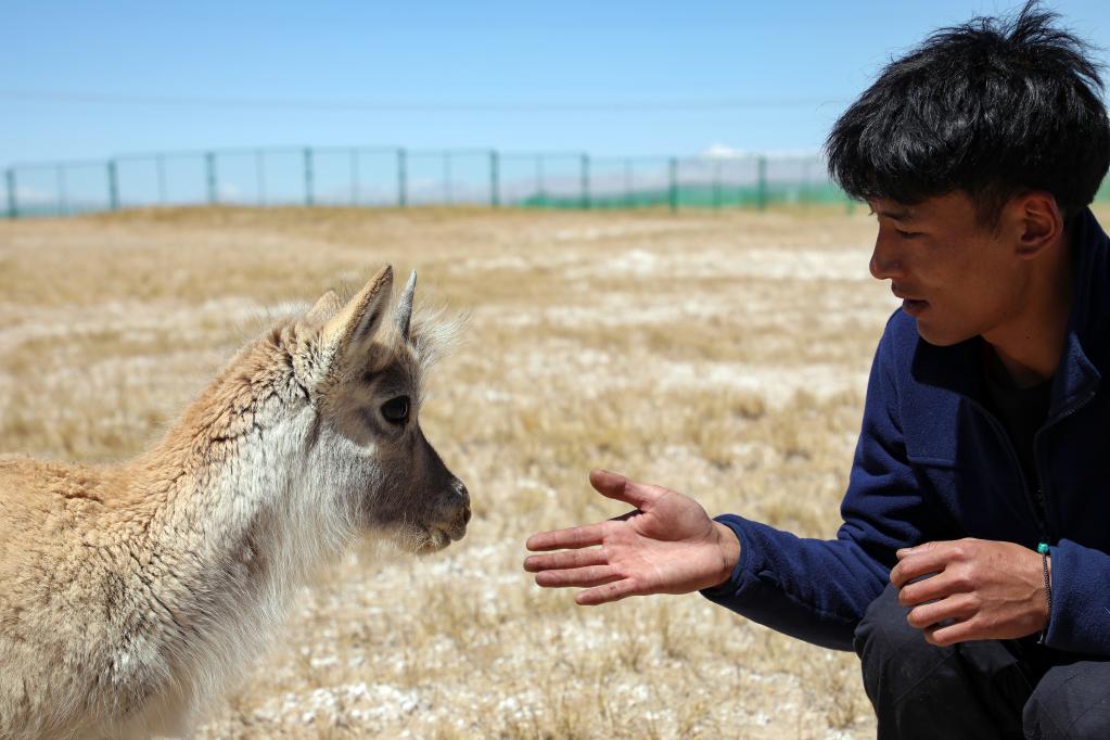 青?？煽晌骼铮罕痪戎亓缪蛴揍套聣殉砷L(cháng)