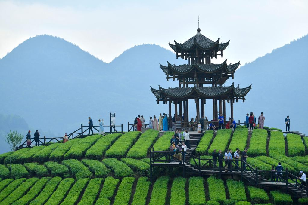 茶鄉嘉年華 客來(lái)鄉村興