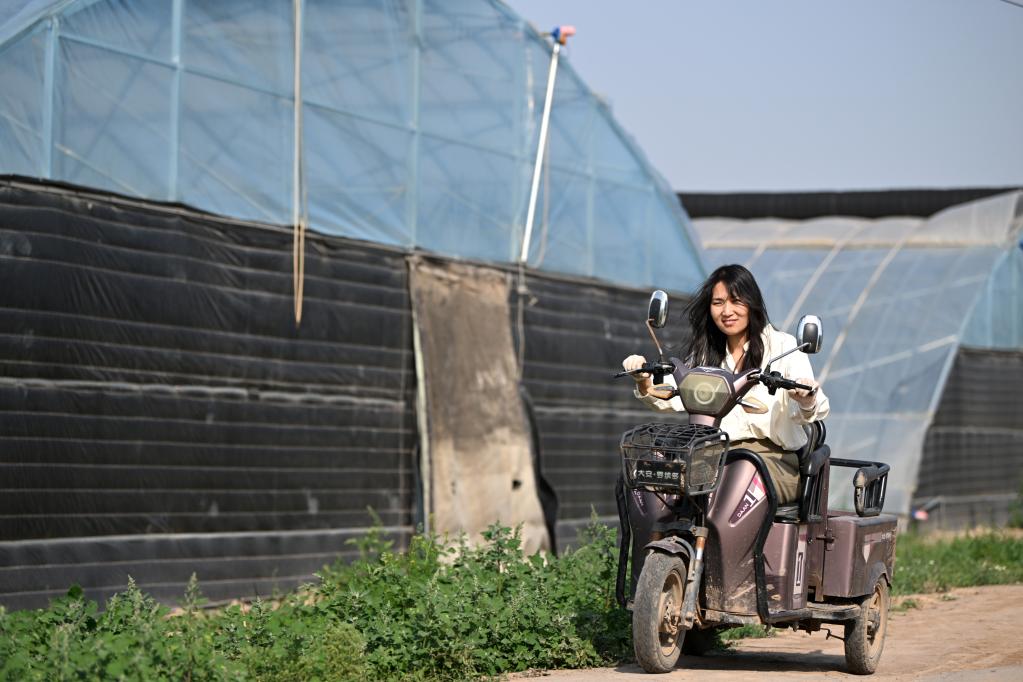 種藍莓的&ldquo;新農人&rdquo;