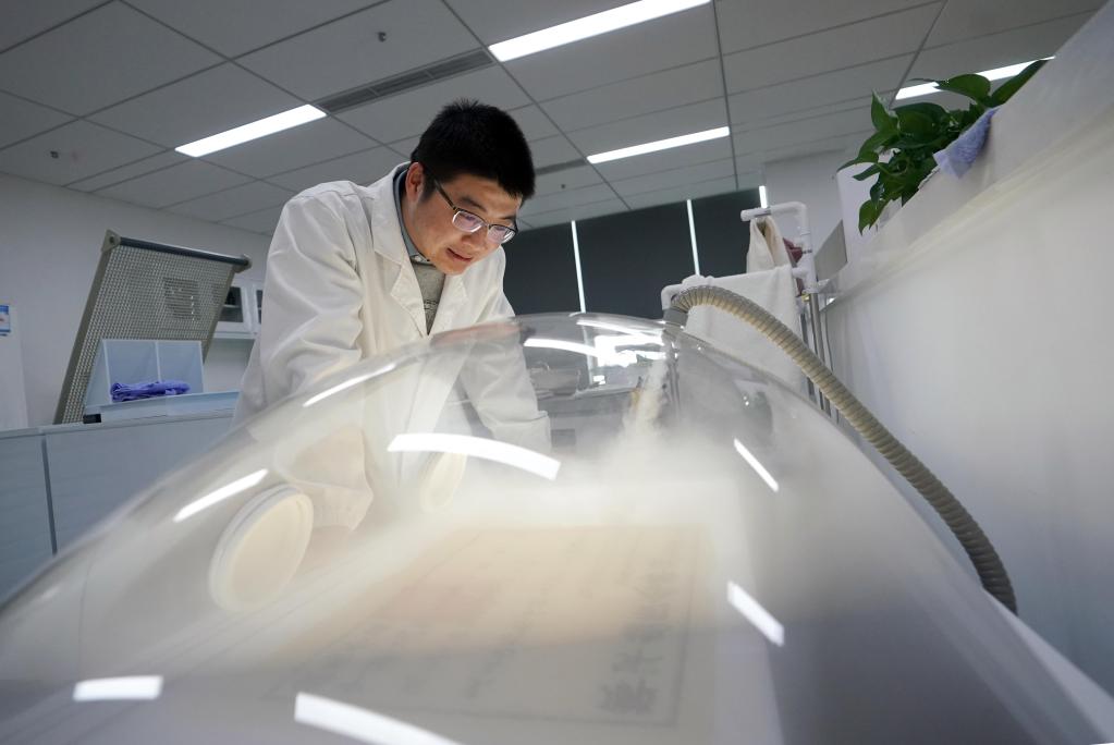 上海：珍藏&ldquo;城市記憶&rdquo;的年輕人