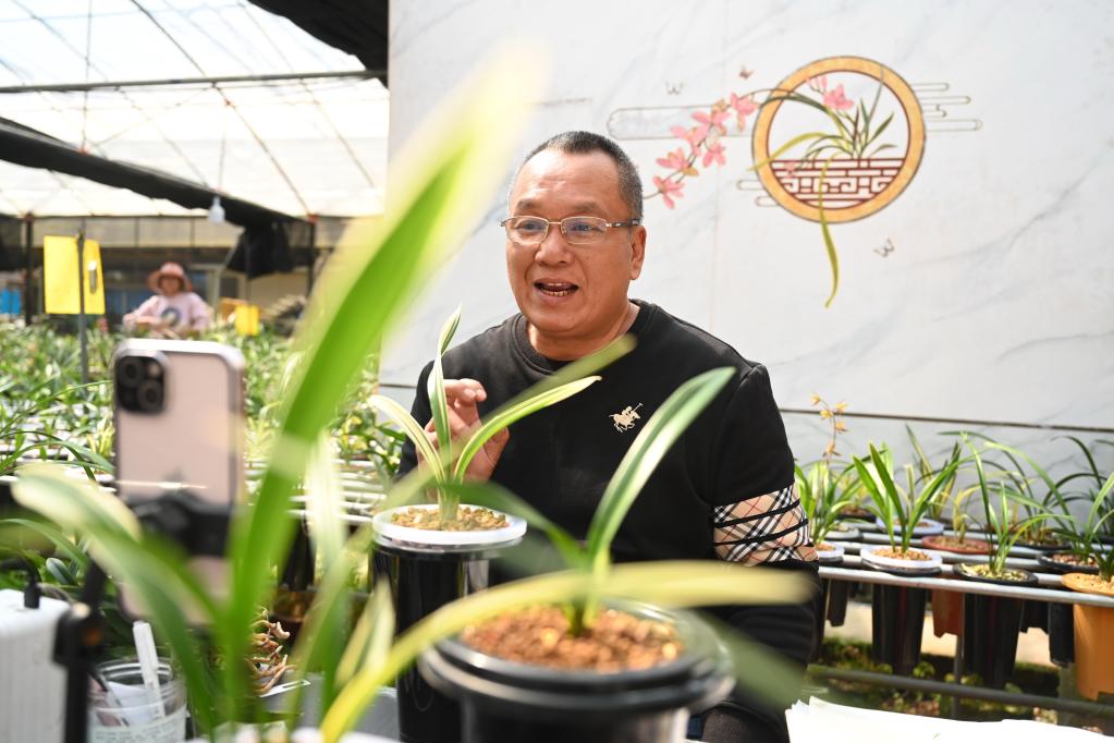 根植&ldquo;沃土&rdquo; 創(chuàng  )新&ldquo;觸網(wǎng)&rdquo;&mdash;&mdash;在閩臺農用蘭花鋪就鄉村致富路