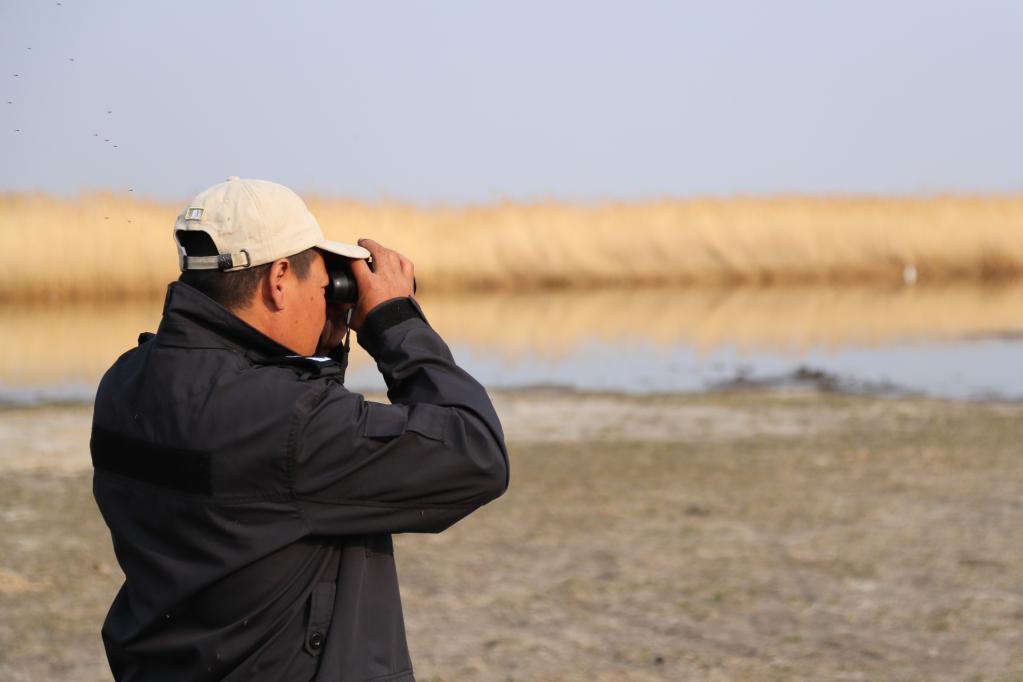 新華全媒+丨濕地管護站的&ldquo;候鳥(niǎo)爸爸&rdquo;