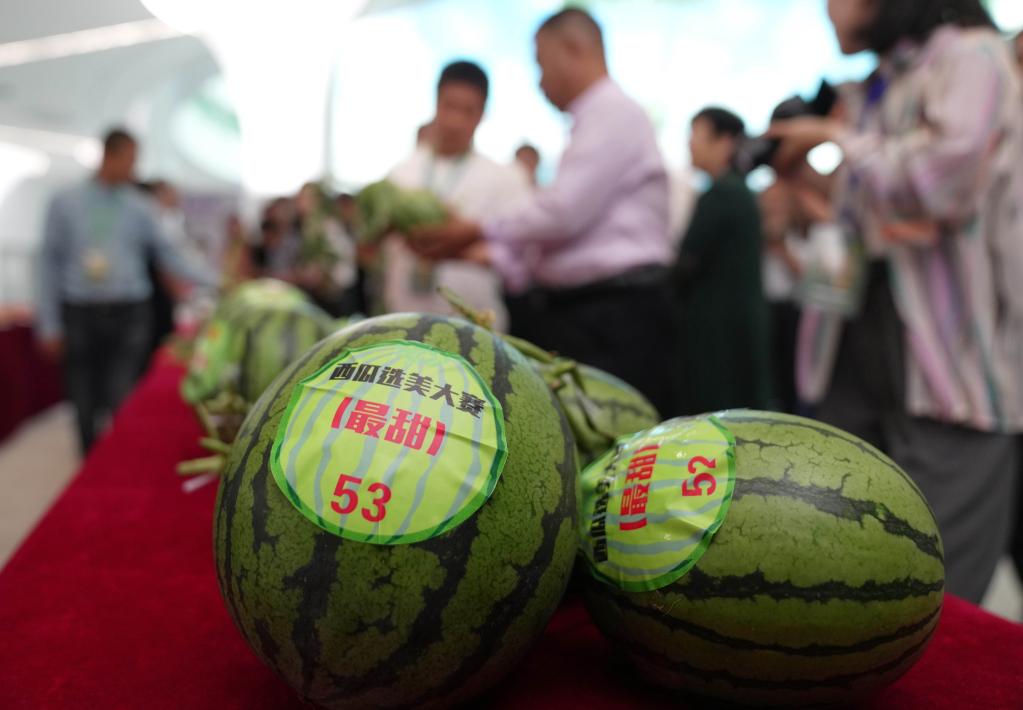 河北新樂(lè )舉行“西甜瓜選美大賽”