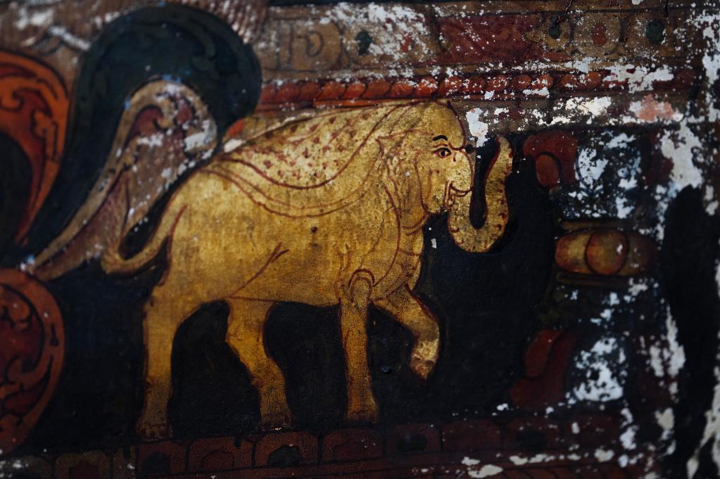 國道之行 從雪山奔向大海丨這么可愛(ài)的國寶，你見(jiàn)過(guò)嗎？