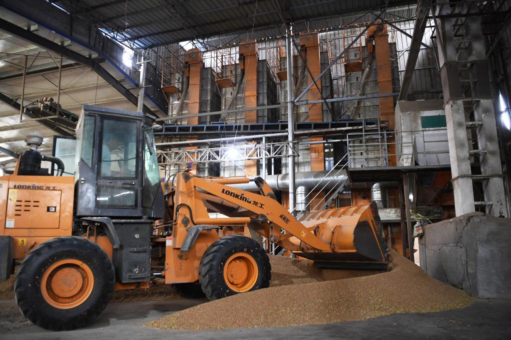 搶收、晾曬、烘干&mdash;&mdash;豫南夏收一線(xiàn)見(jiàn)聞