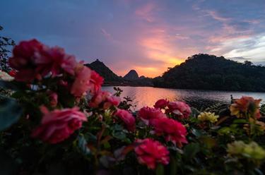 云南普者黑：發(fā)展旅游產(chǎn)業(yè) 助力鄉村振興