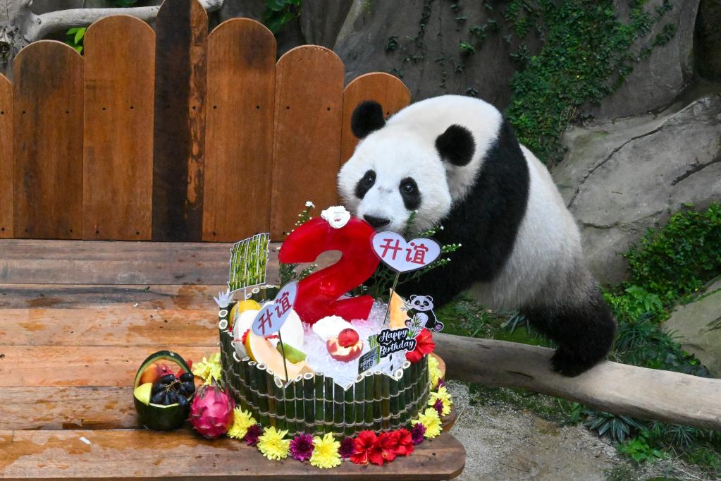 &ldquo;升誼&rdquo;兩歲啦！