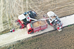 河南上蔡:抓住晴好天氣搶收小麥